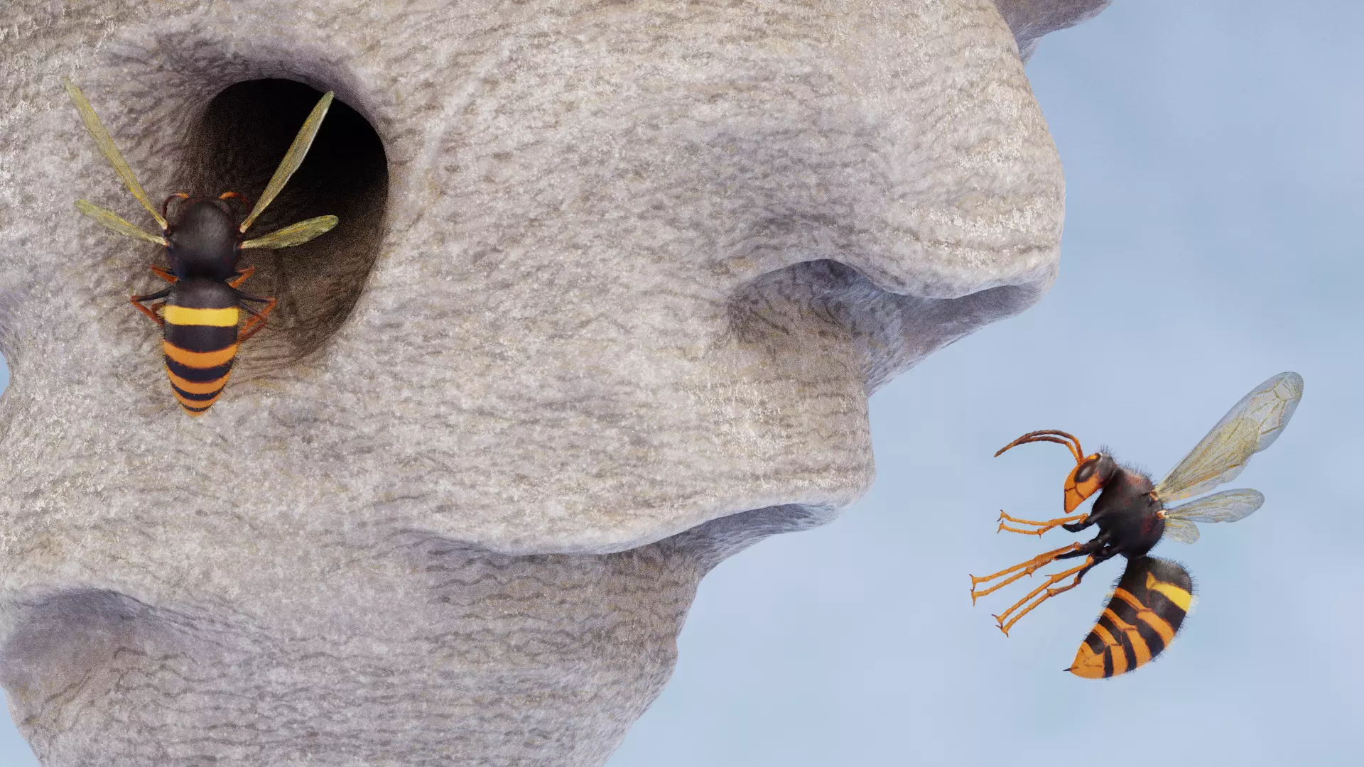 -Hornets with Nest- 3D model_2