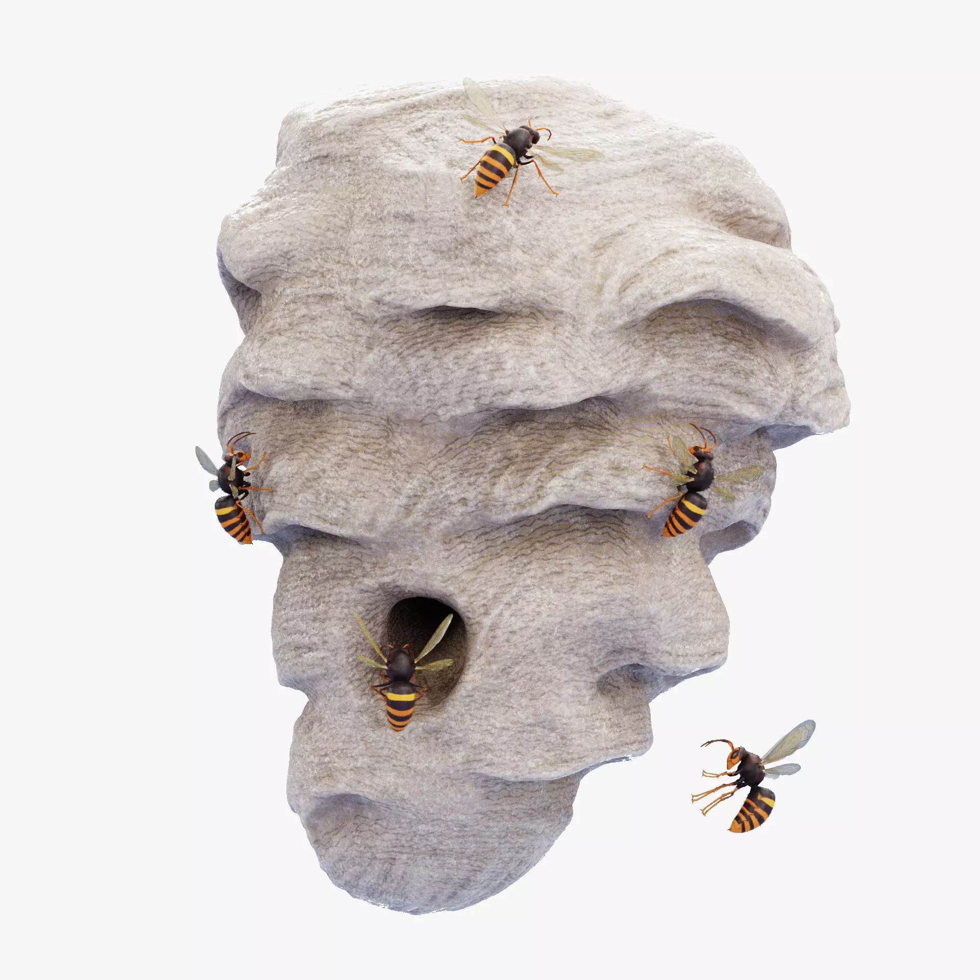 -Hornets with Nest- 3D model_15
