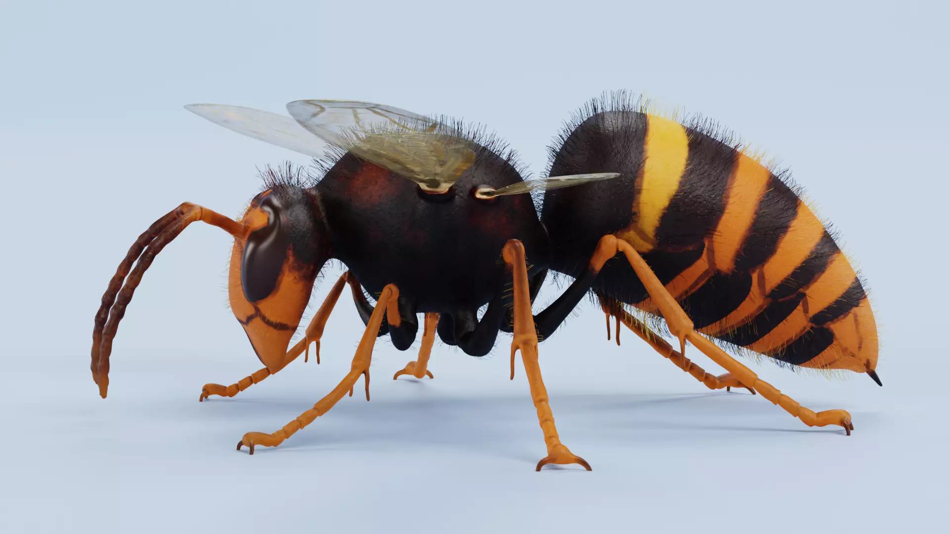 -Hornets with Nest- 3D model_6