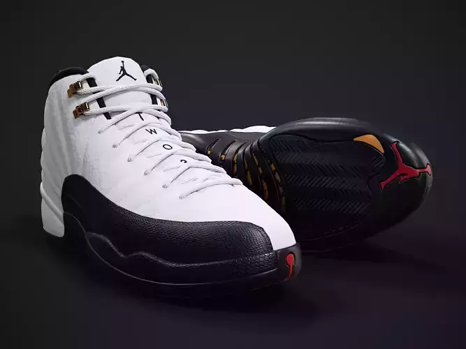 PBR Air Jordan 12-retro sneaker-PBR model-6