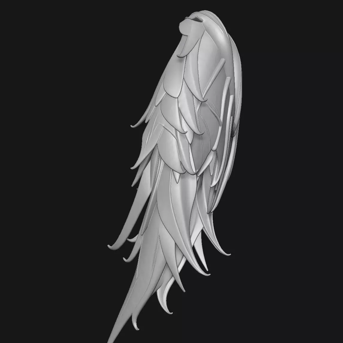 wings 3D print model_2