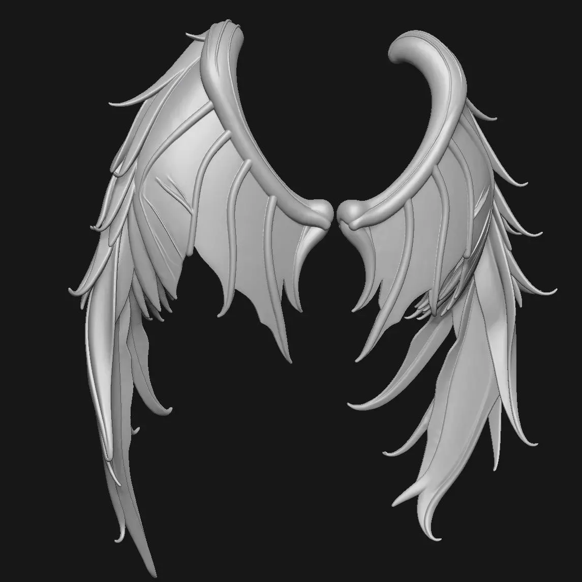 wings 3D print model_1