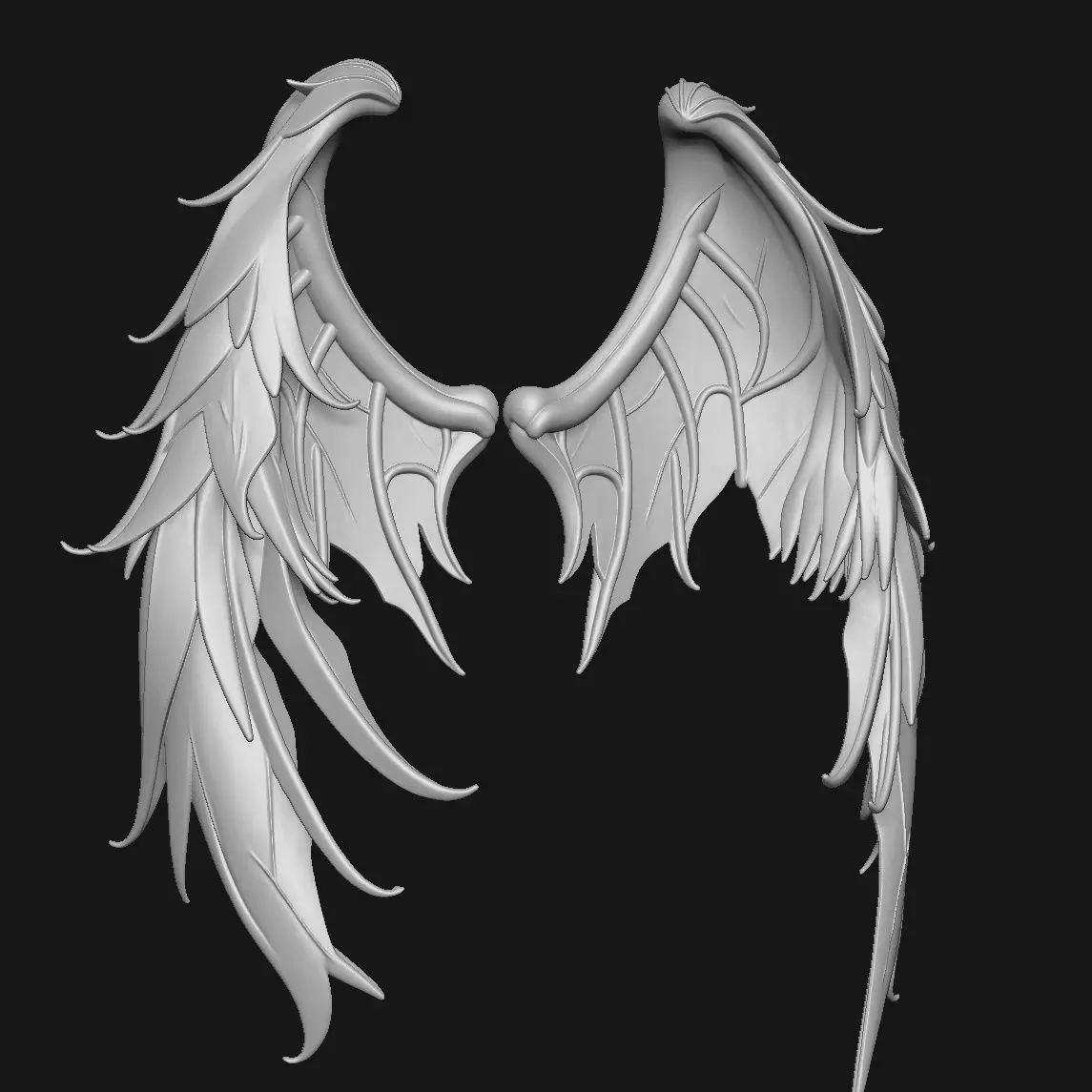 wings 3D print model_4