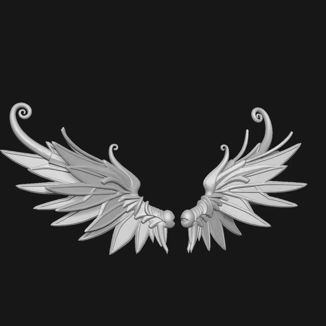 wings 3D print model_0