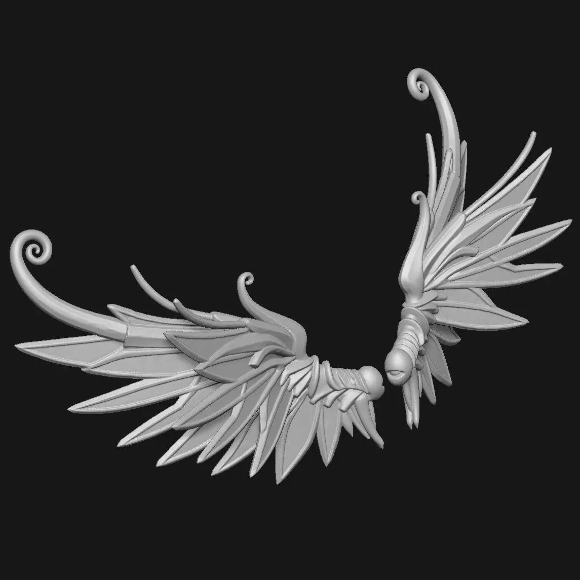 wings 3D print model_1