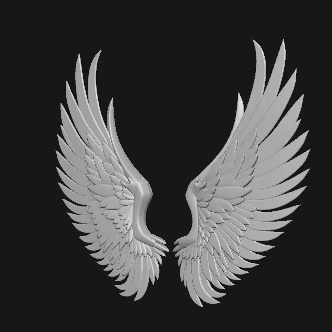 wings 3D print model_1