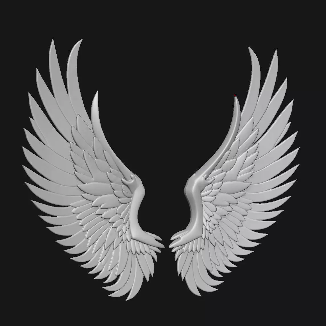 wings 3D print model_0
