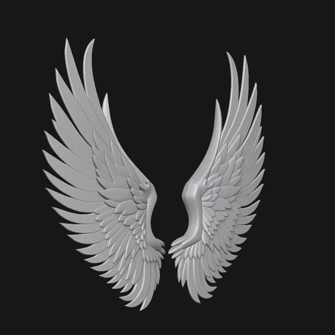 wings 3D print model_2