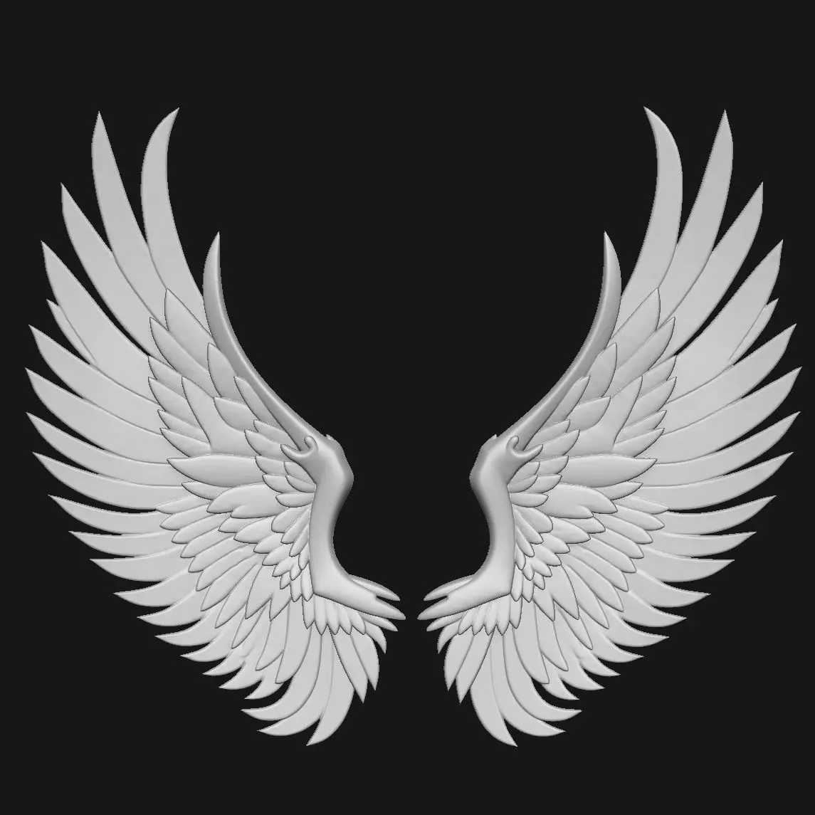 wings 3D print model_3