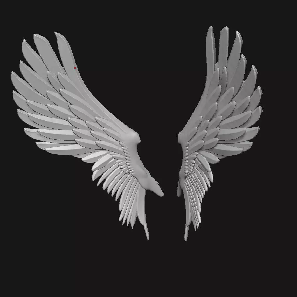 wings 3D print model_3