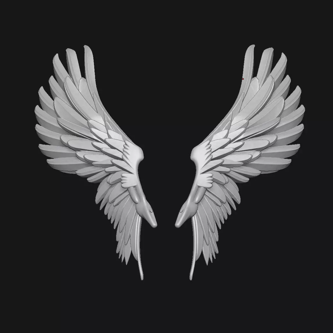 wings 3D print model_0