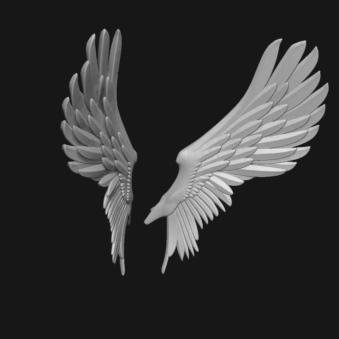 wings 3D print model_4
