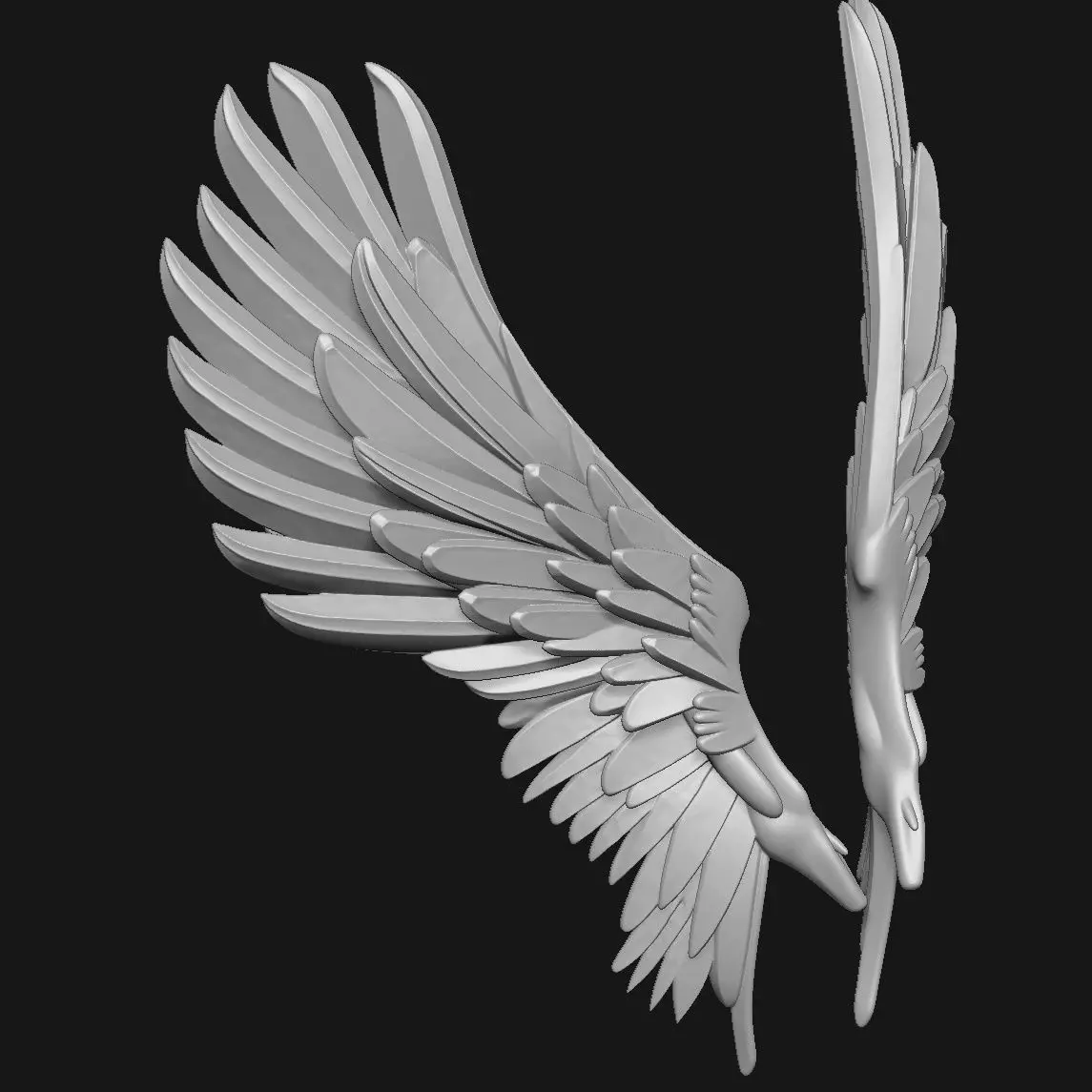 wings 3D print model_6