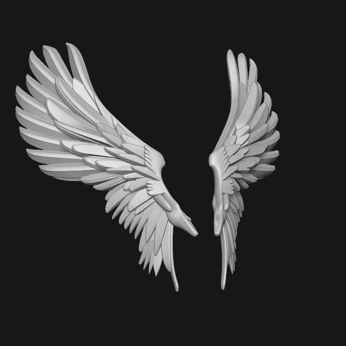 wings 3D print model_1