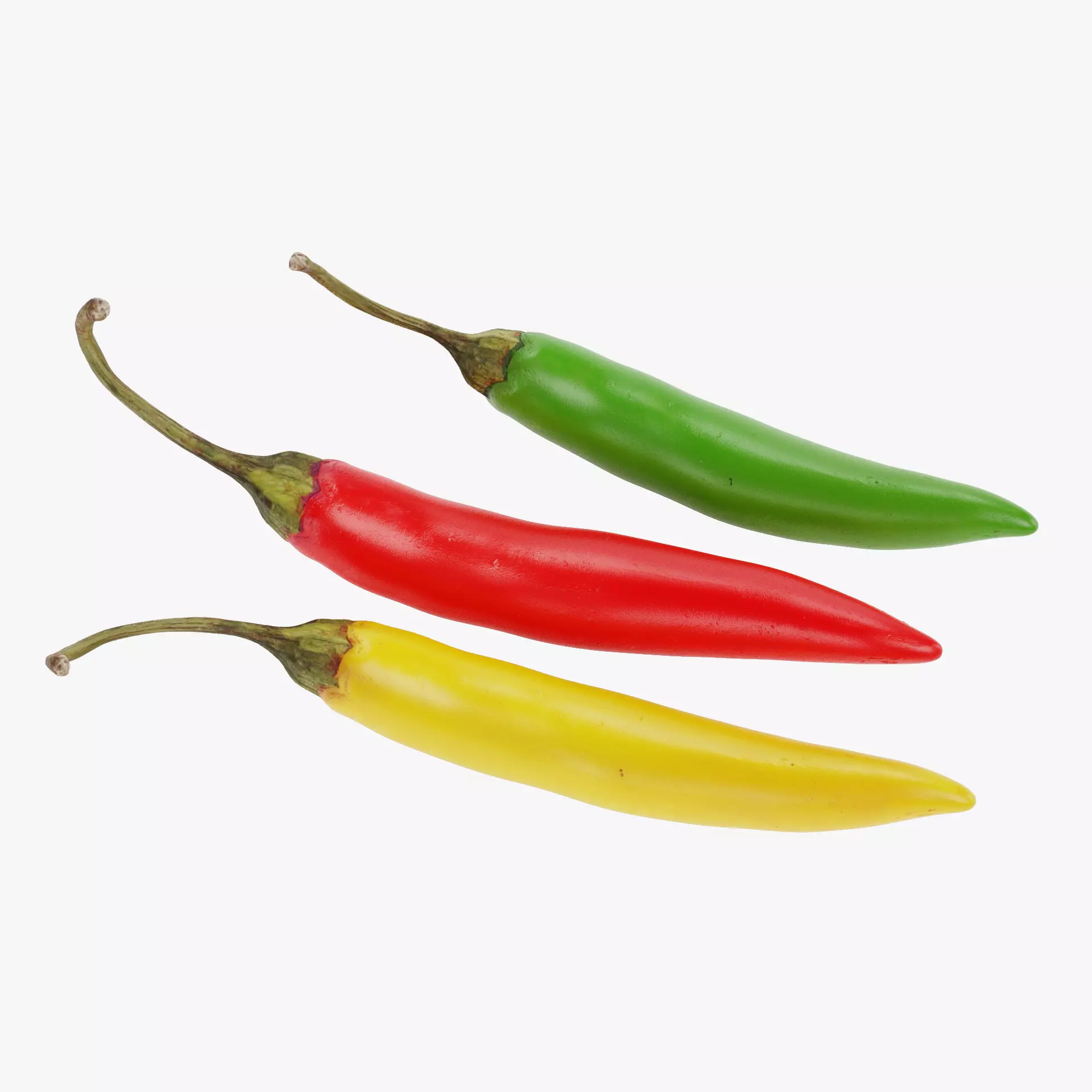 -Chilli Peppers- 3D model_14