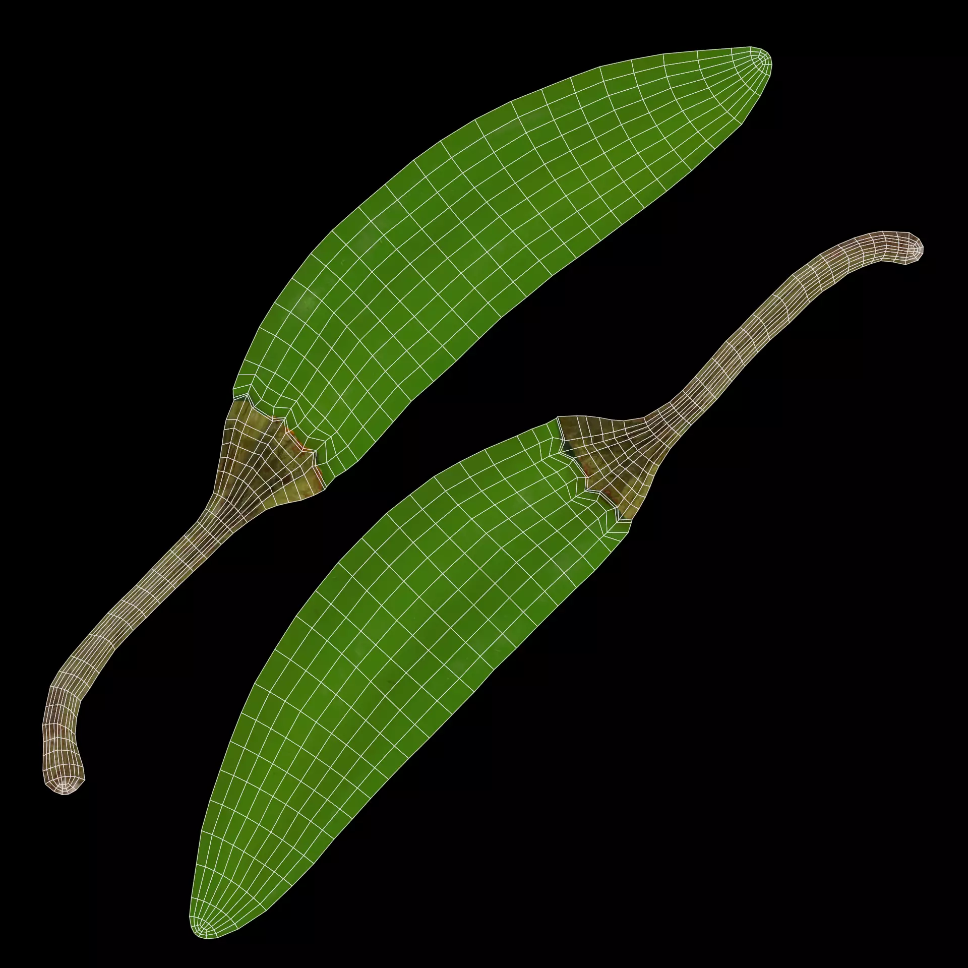 -Chilli Peppers- 3D model_7