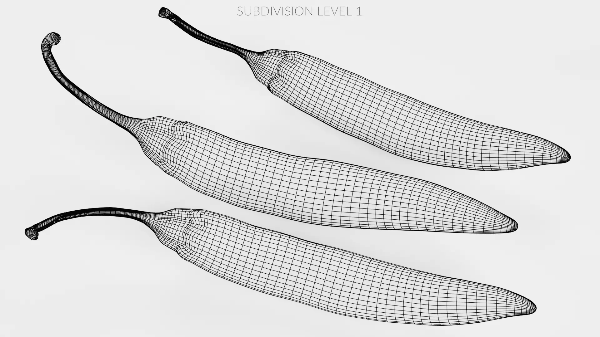 -Chilli Peppers- 3D model_11