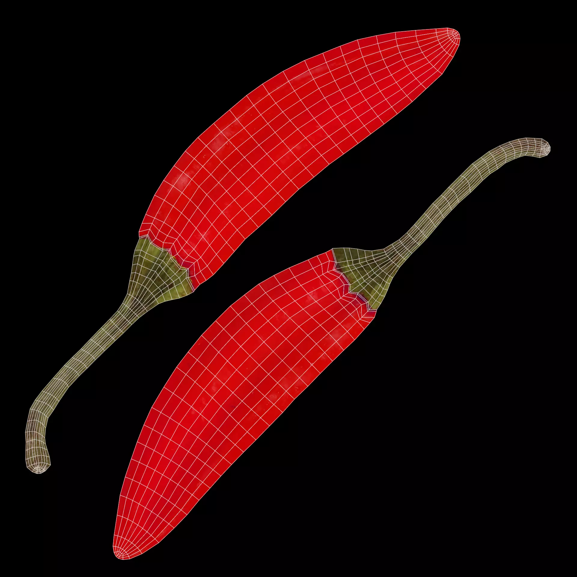 -Chilli Peppers- 3D model_9