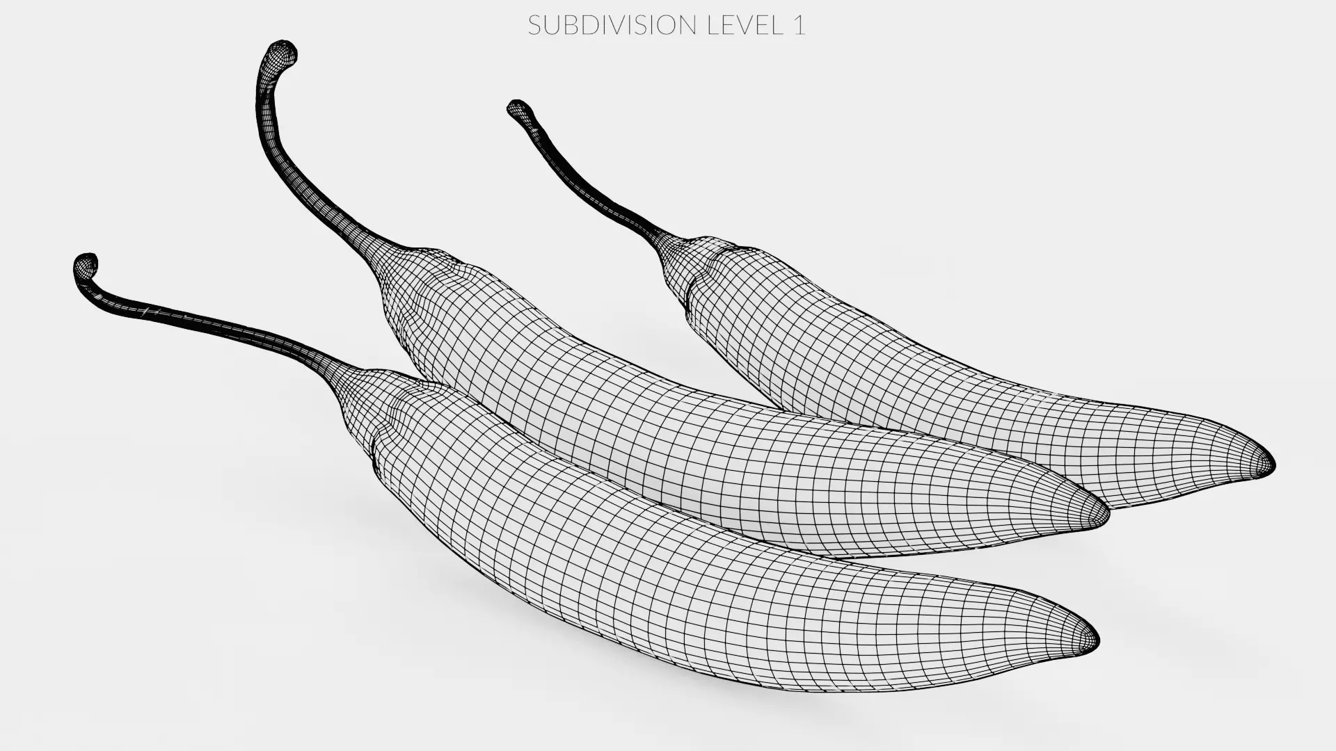 -Chilli Peppers- 3D model_13