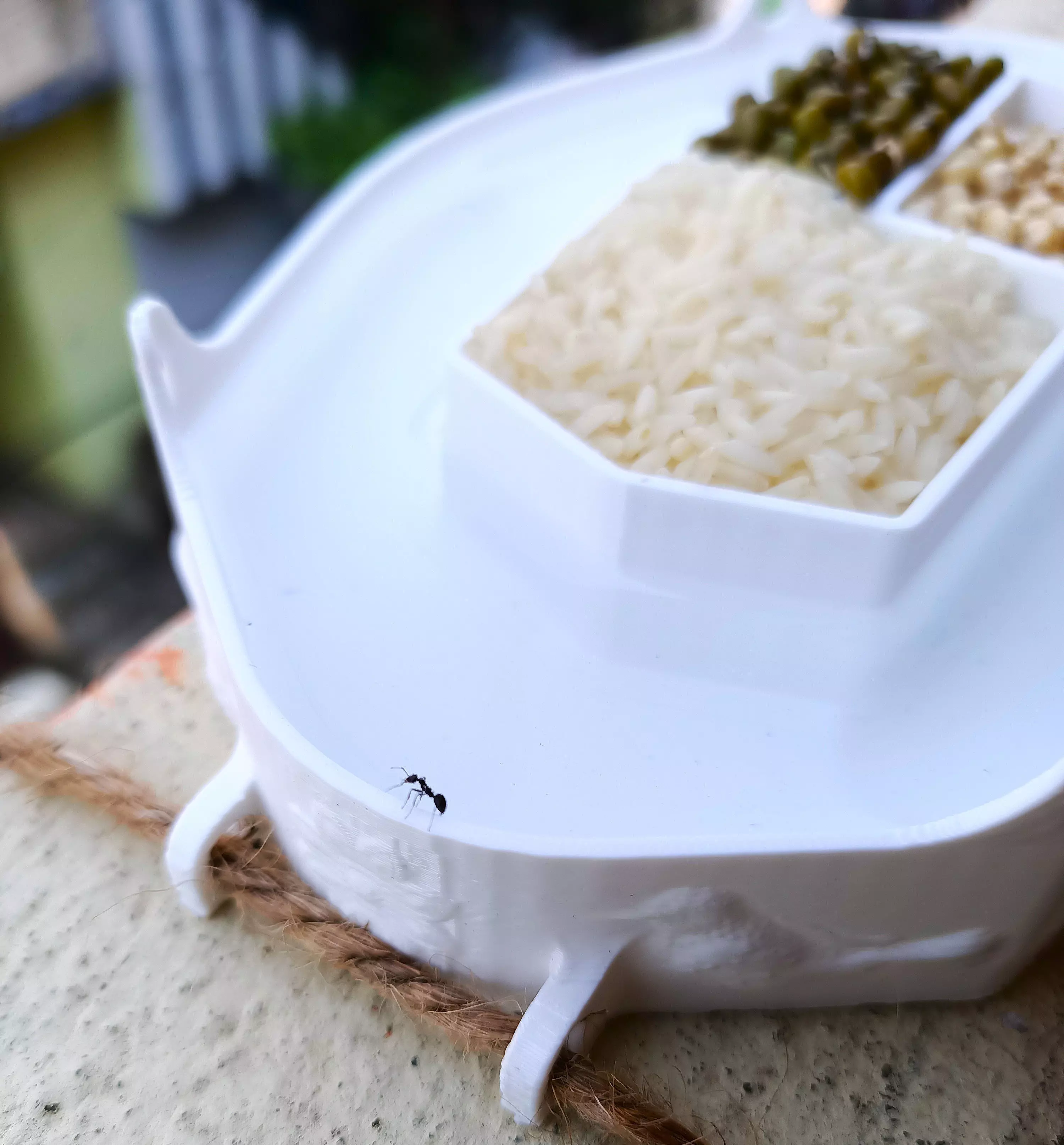 Ant Proof Outdoor Bird Squirrel Feeder aerodynamic 8models 3D print model_10