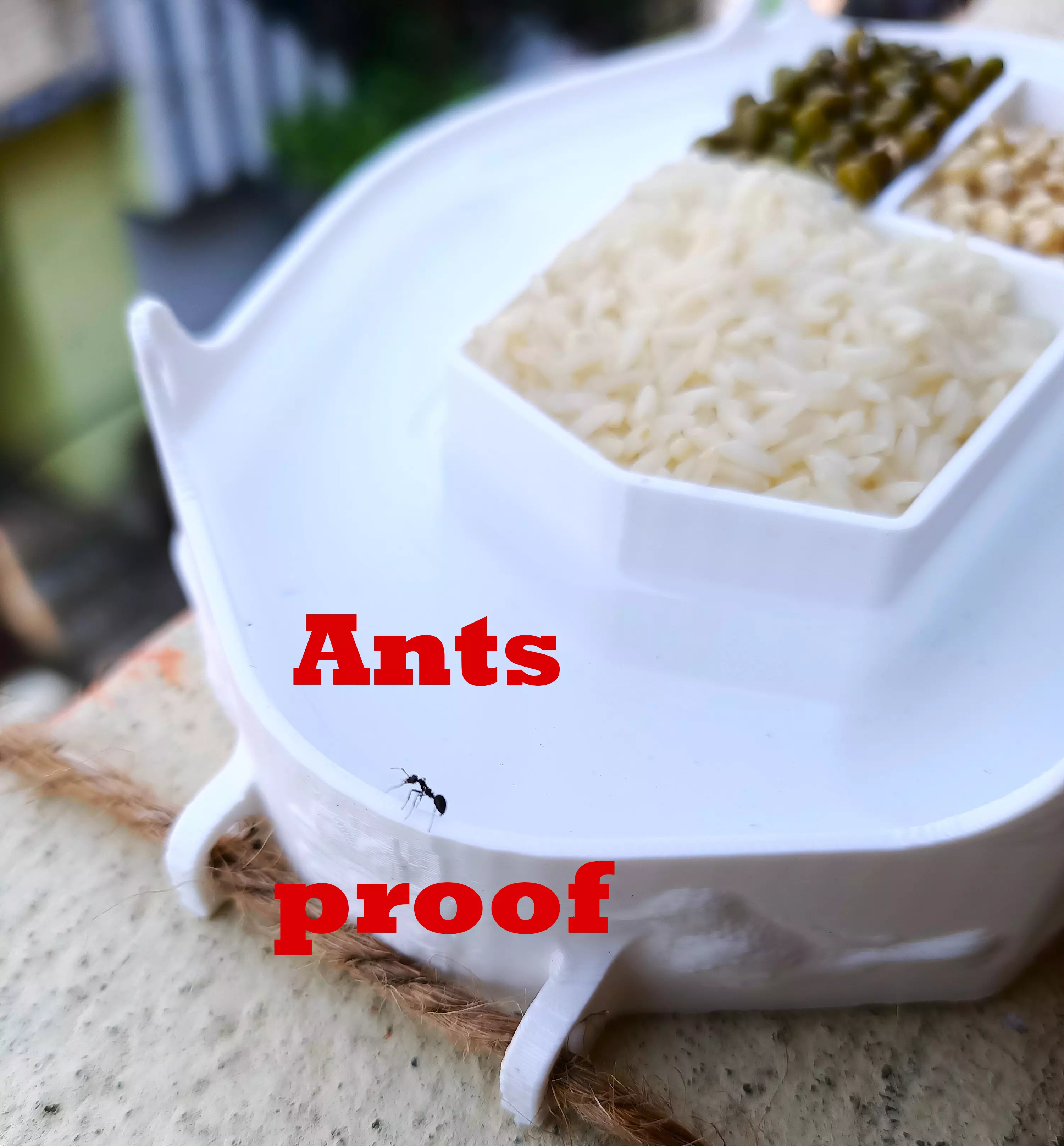 Ant Proof Outdoor Bird Squirrel Feeder aerodynamic 8models 3D print model_1