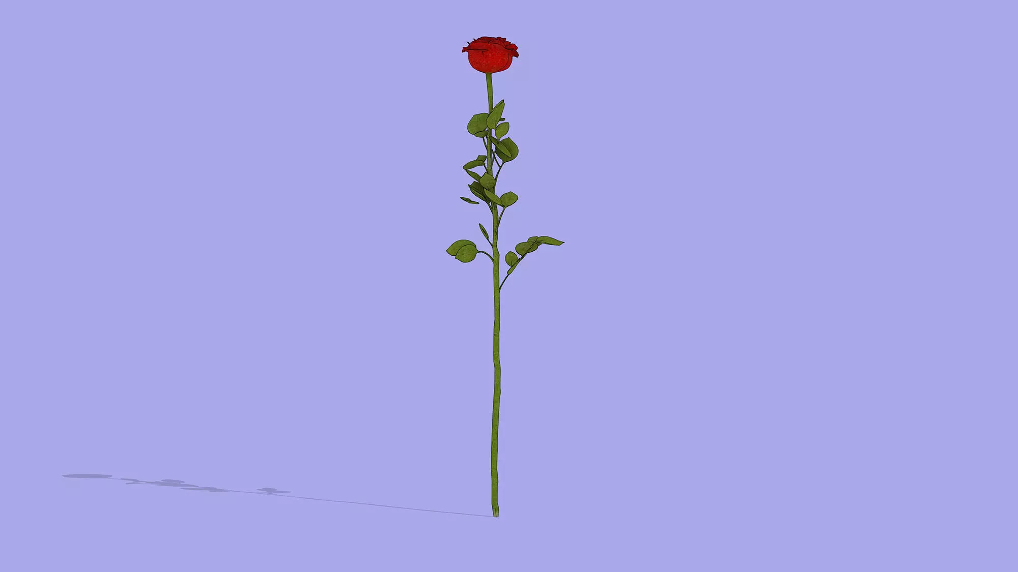 Rose branch Low-poly 3D model_6