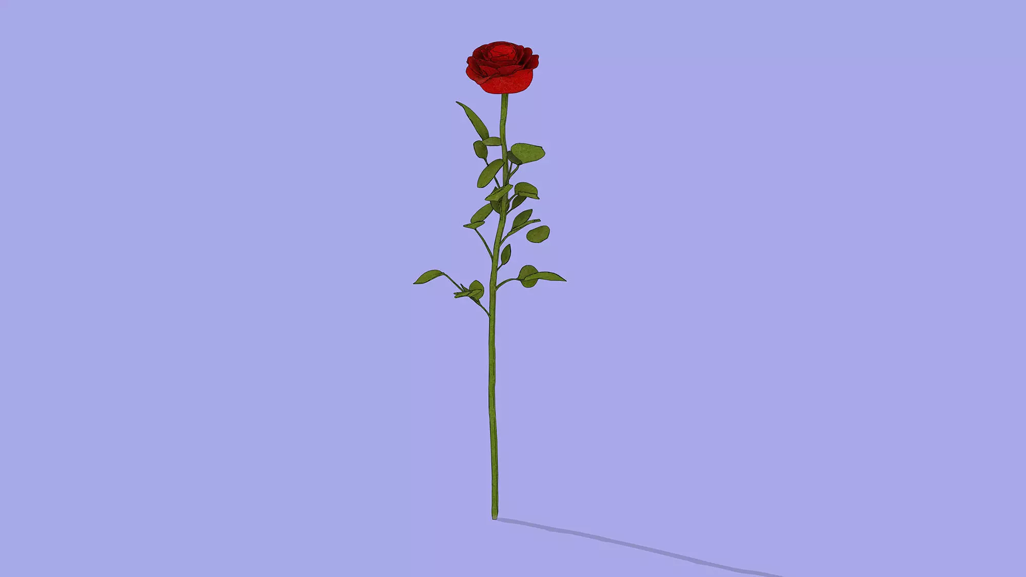 Rose branch Low-poly 3D model_4