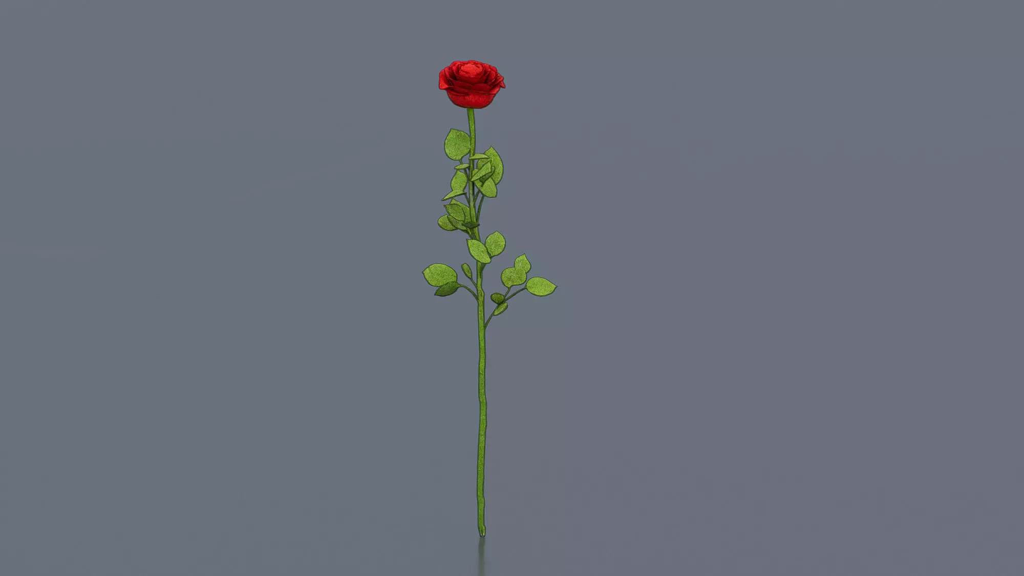 Rose branch Low-poly 3D model_0