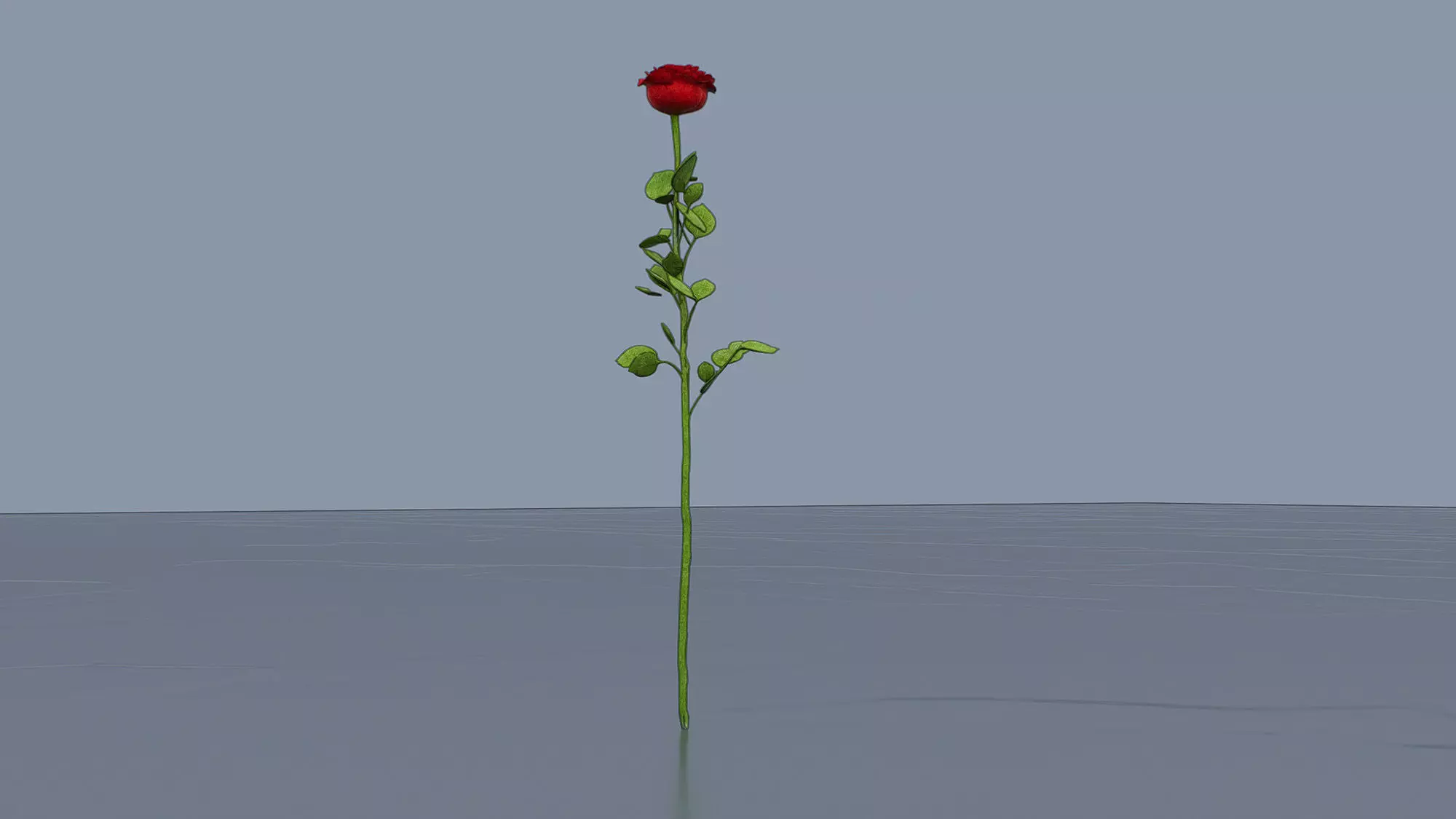 Rose branch Low-poly 3D model_2