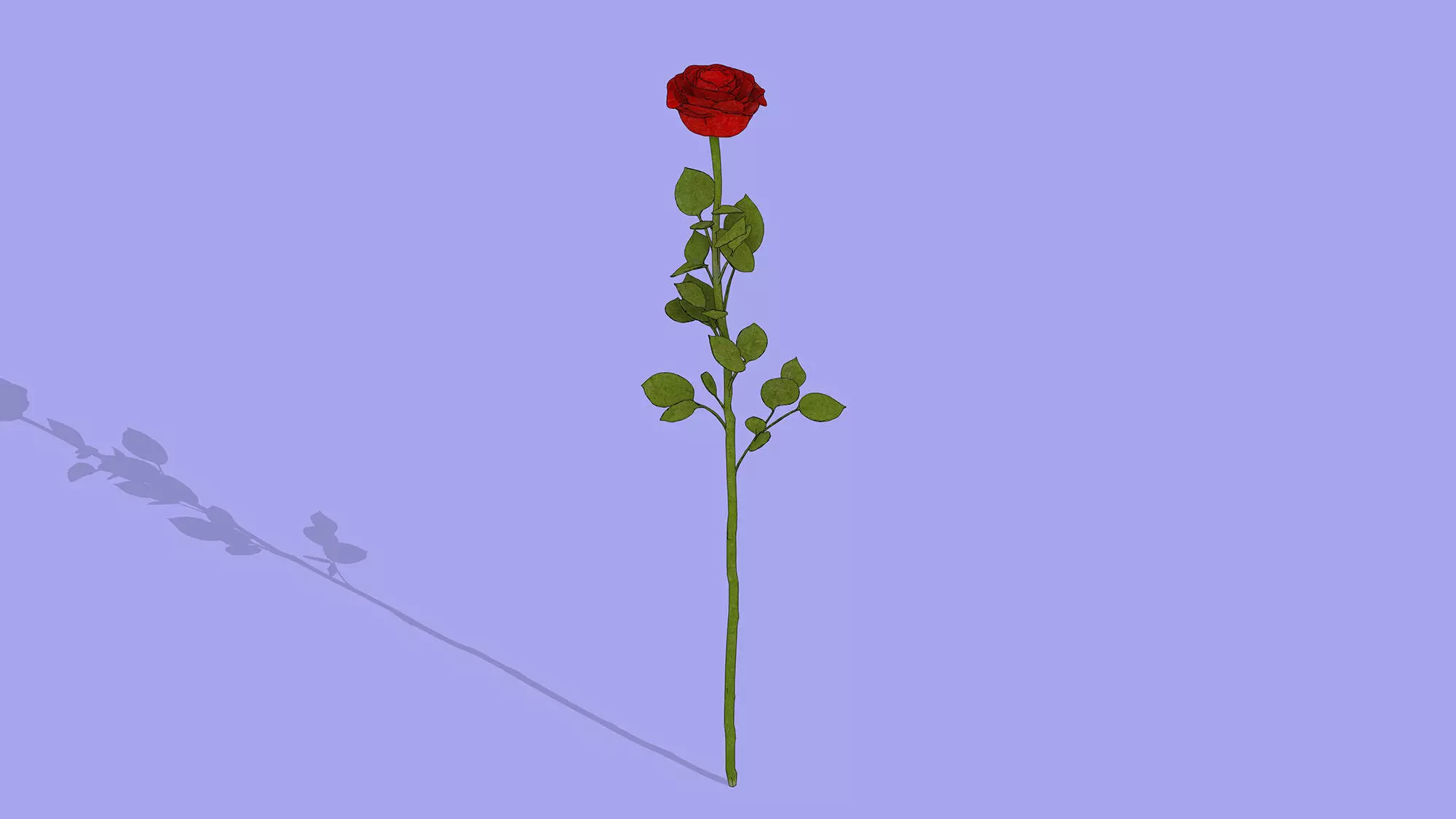 Rose branch Low-poly 3D model_3