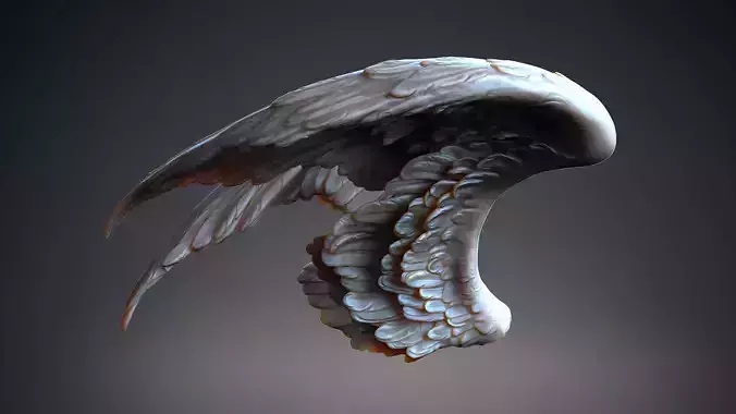 Wings-2  I 3D Sculpting