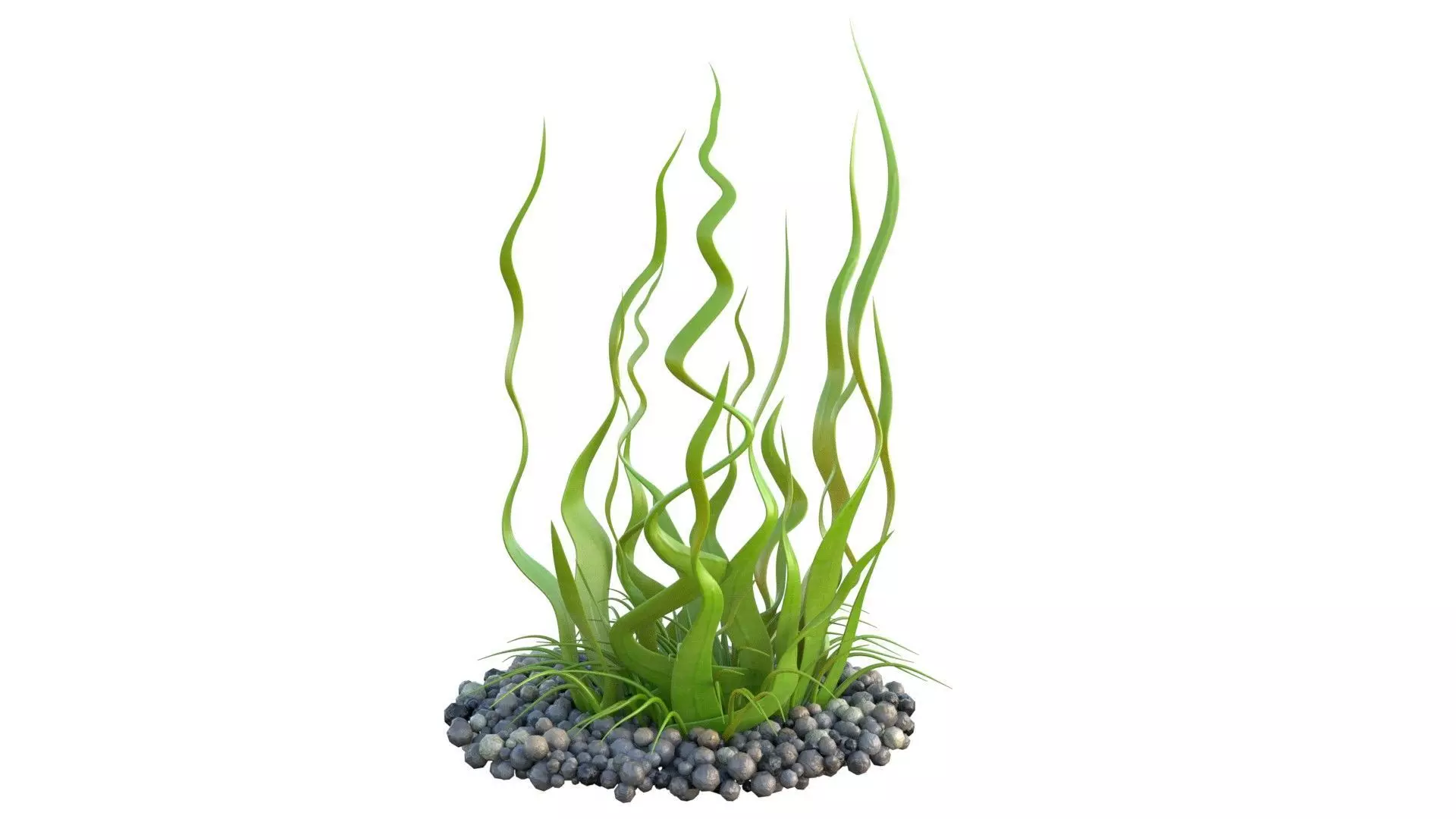 Seaweed 10 Low-poly 3D model