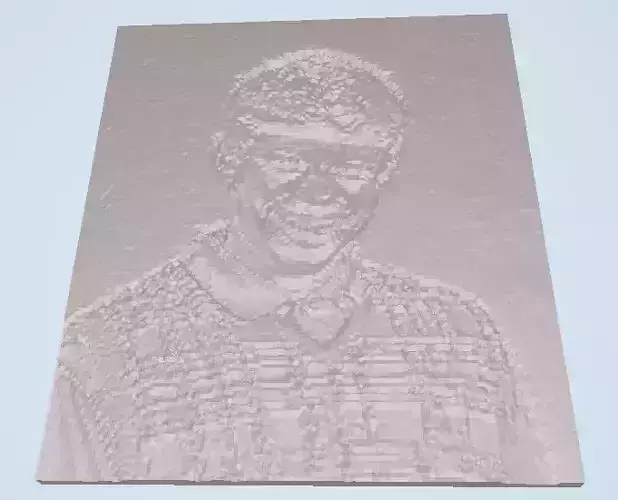 Bad Luck Brian Lithophane Free 3D print model