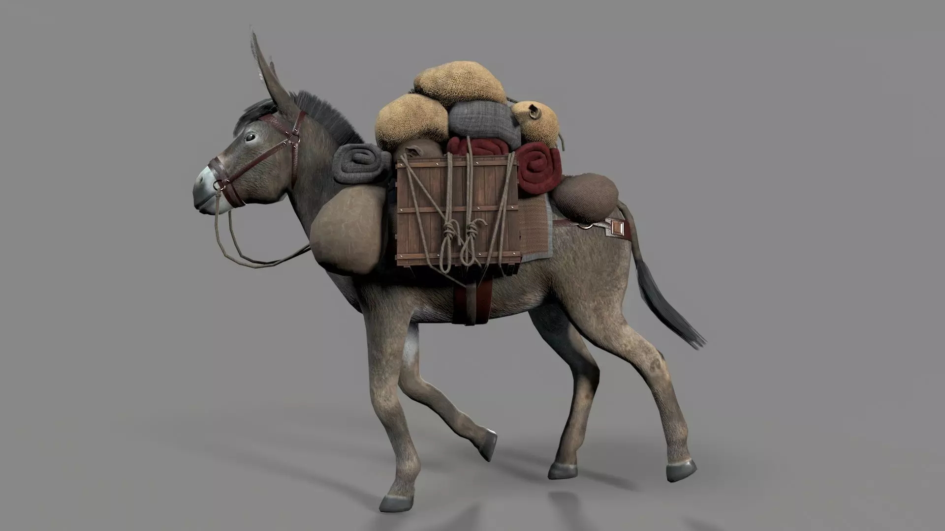 donkey Low-poly 3D model_10