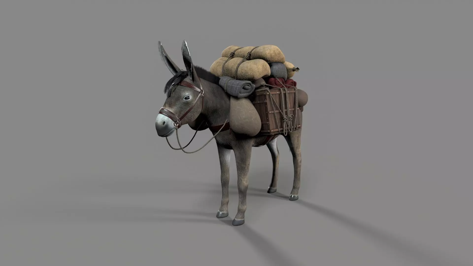donkey Low-poly 3D model_2