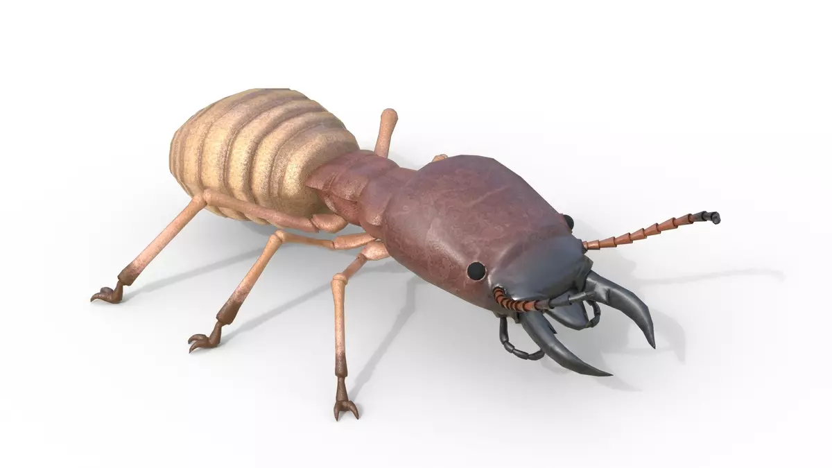 Termite Insect Rigged 3d model Free 3D model_1