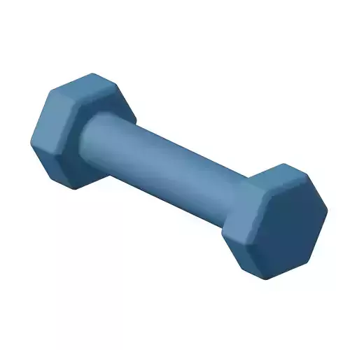 Plastic Hexagonal Dumbbell