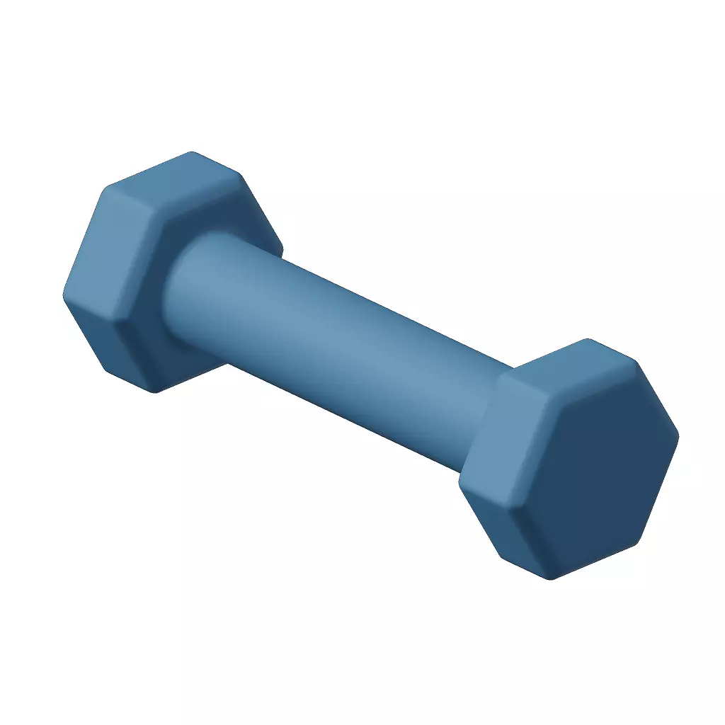Plastic Hexagonal Dumbbell 3D model_0