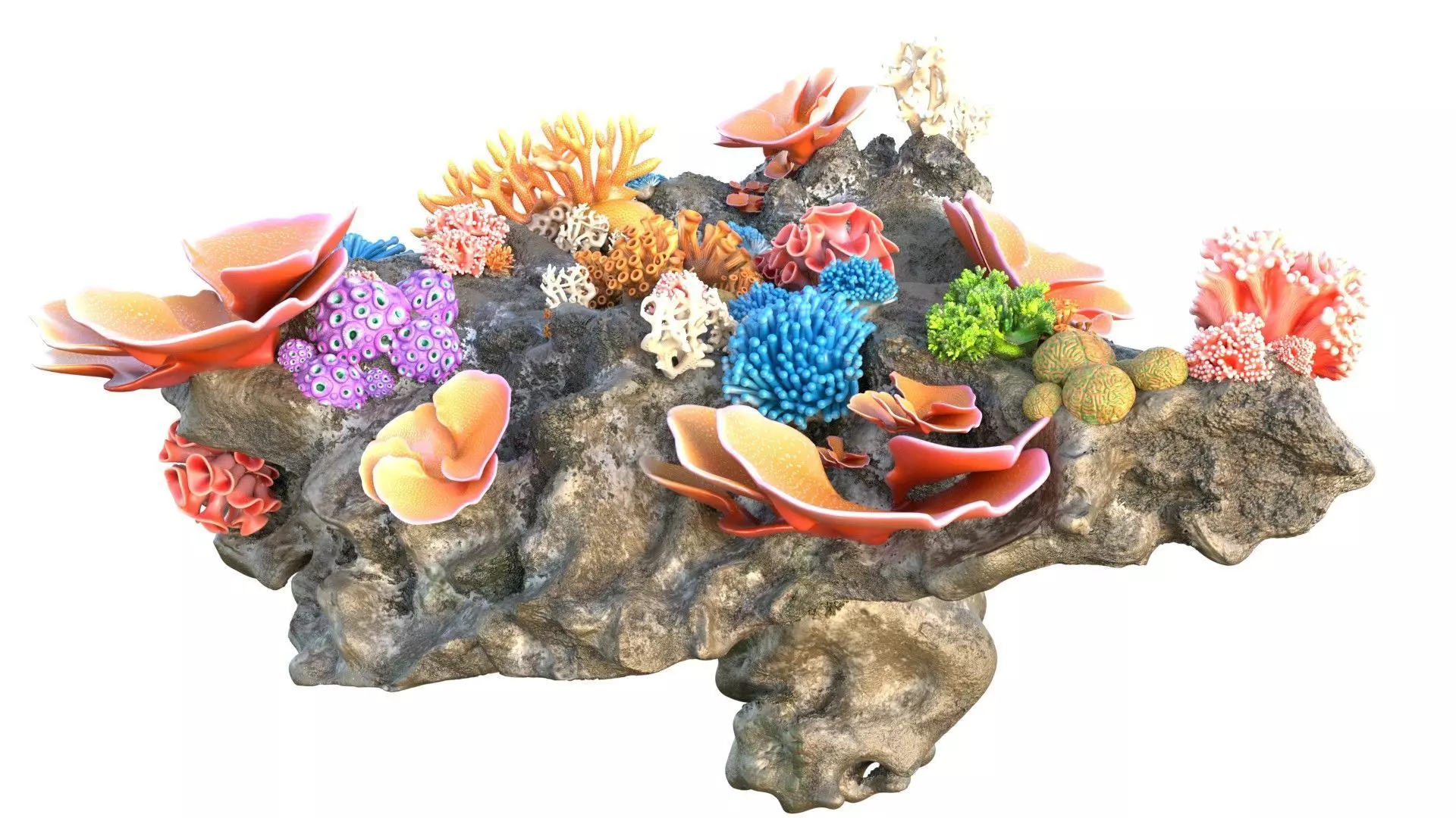 Coral Reef Rock 2 Low-poly 3D model