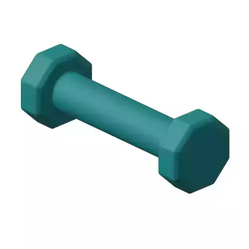 Plastic Otcagonal Dumbbell