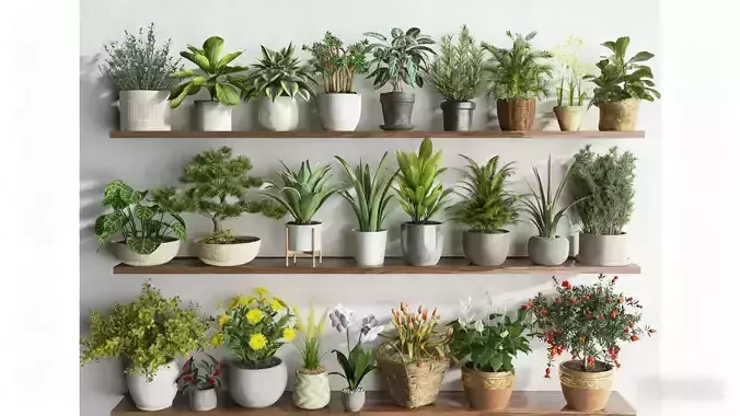 Multi layered and diverse green plants