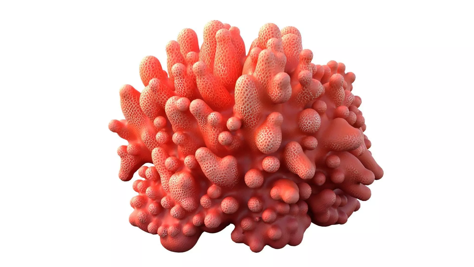 Coral Reef 9 Low-poly 3D model