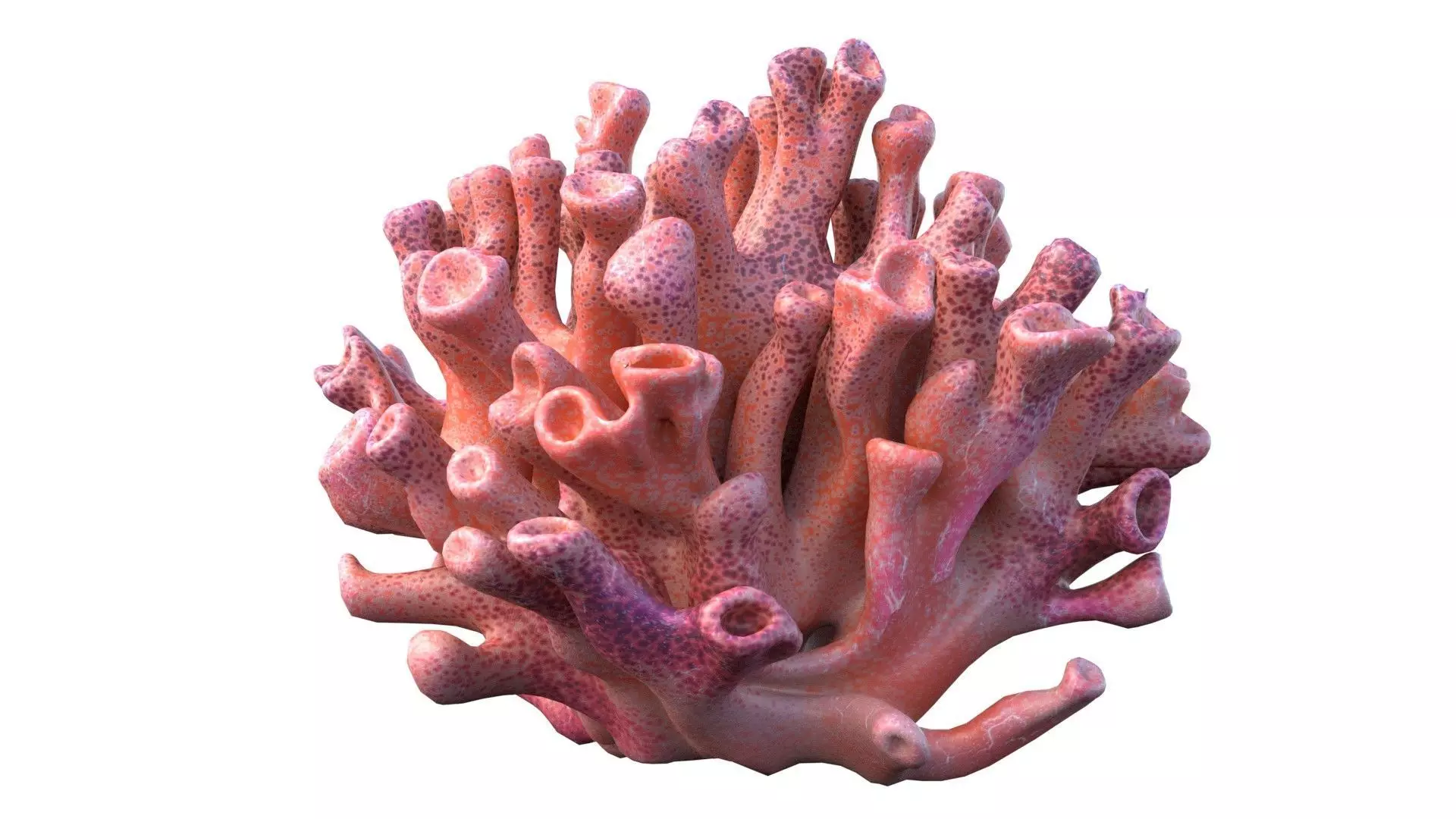 Coral Reef 6 Low-poly 3D model