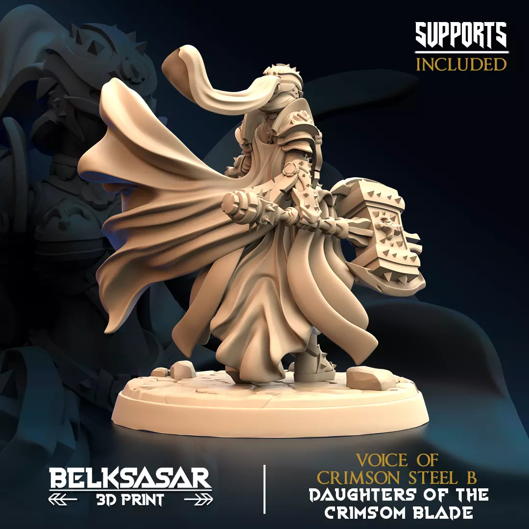 Paladin Voice of Crimson Steel B 3D print model_2