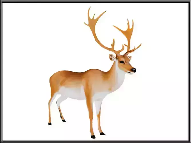 Realistic Reindeer