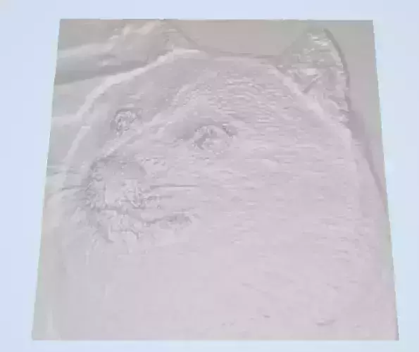 Doge Lithophane
