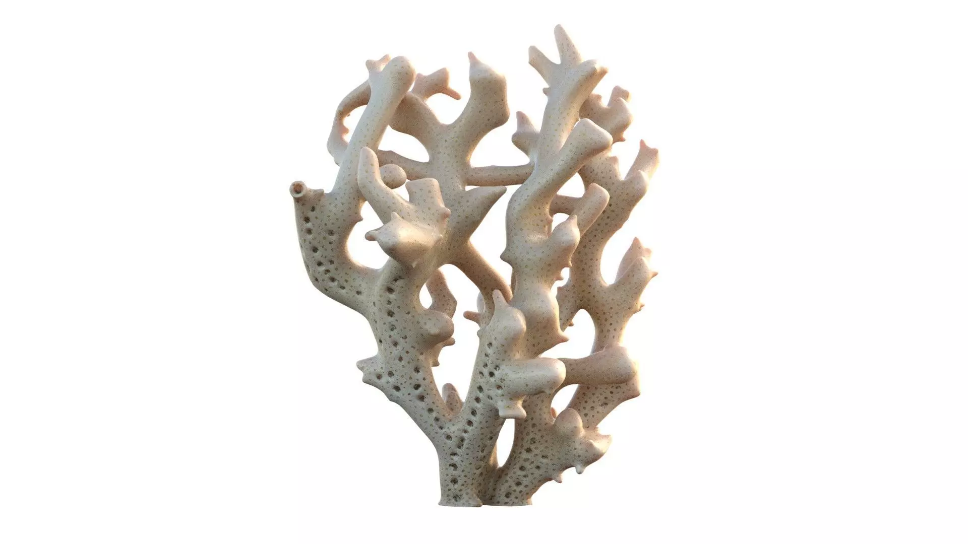Coral Reef 19 Low-poly 3D model