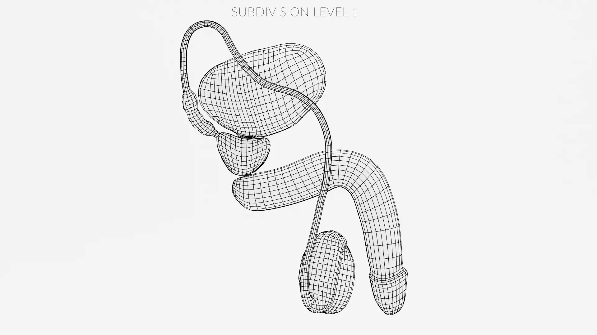 Male Reproductive System - Realistic Cross-Section Anatomy 3D model_12