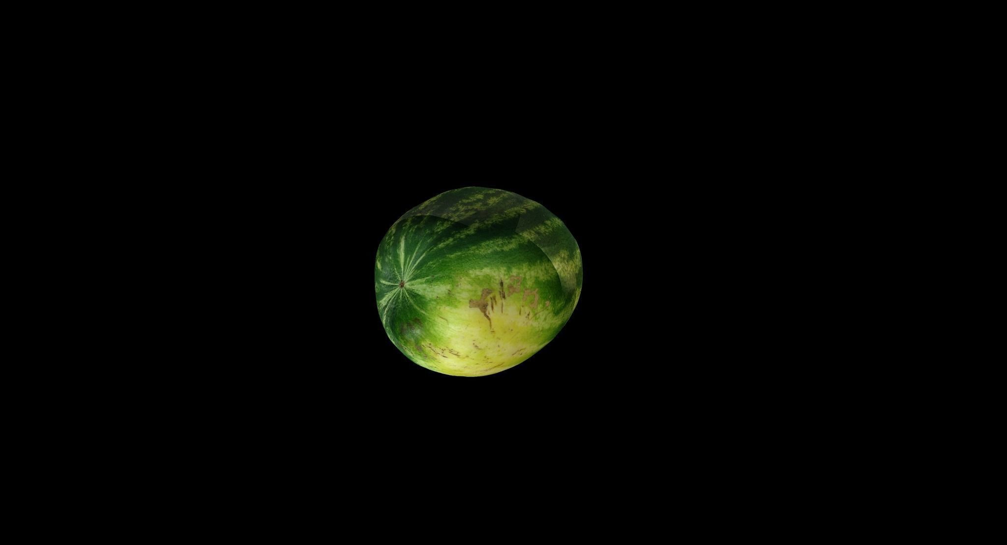 watermelon brussels sprout Free 3D model
