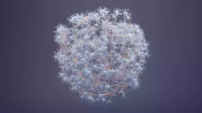 Neural Network V1 - Human Neuron Cluster